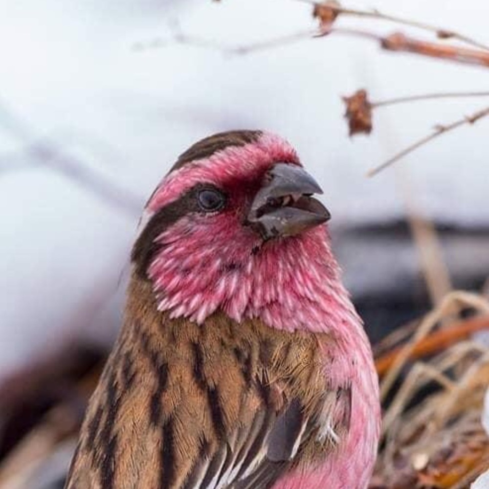 Meet your Posher, Tracy